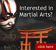 Red Lizard Martial Art Products